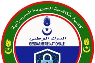 كتيبة الدرك الوطني لمكافحة الجريمة السيبرانية