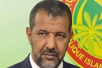 محمد محمود ابو المعالي