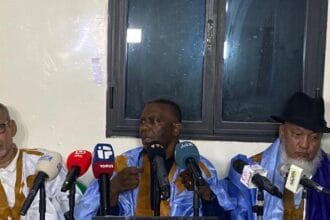 ائتلاف التناوب الديمقراطي 2029